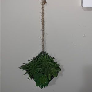 Wall hanging plants